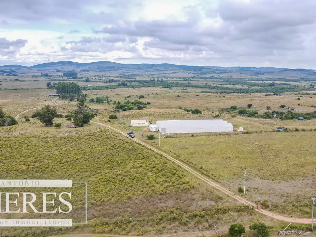 Campo con casa e instalaciones en Pueblo Edén 89ha