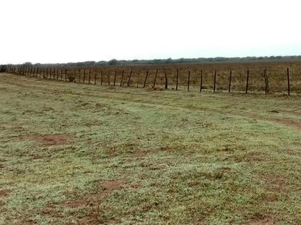 Campo en  Nueva Galia,  San Luis