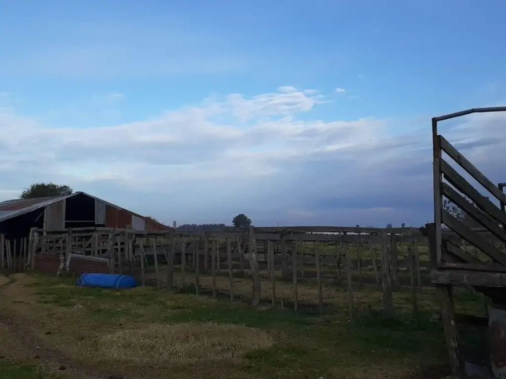 campo  en Herrera