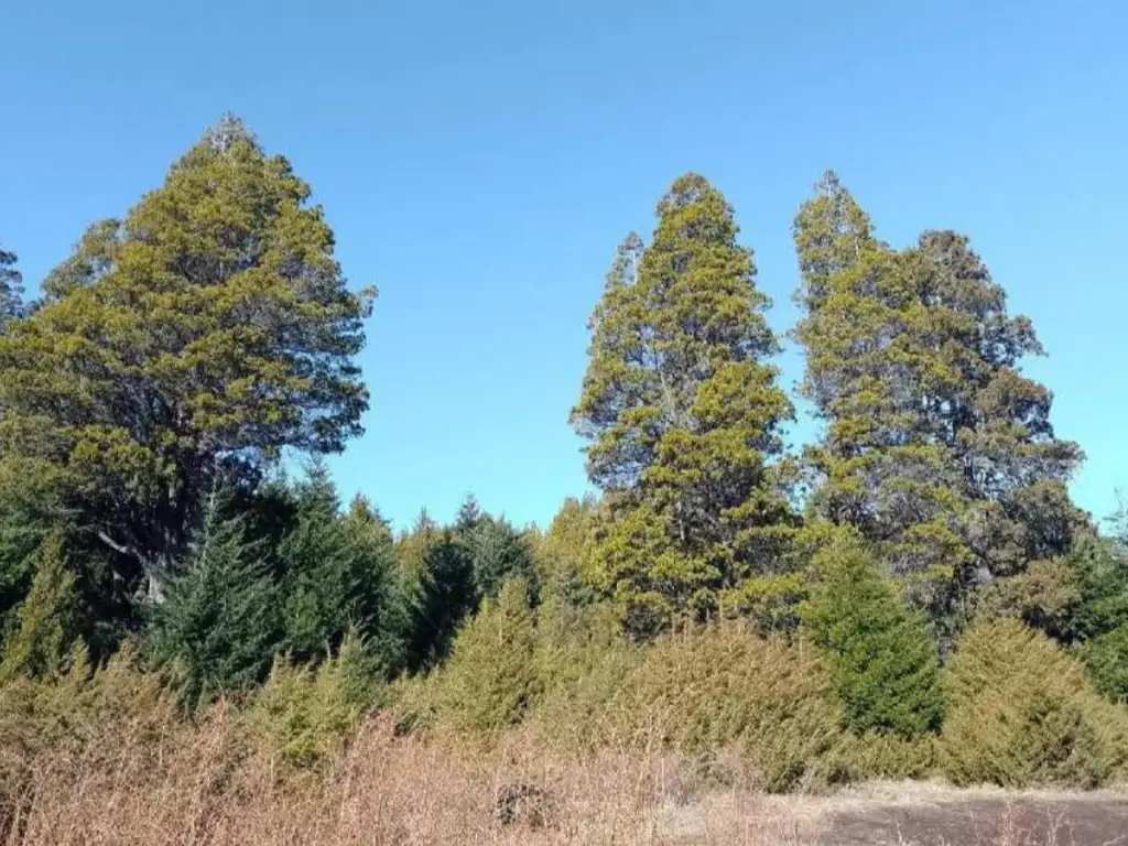 Venta de Terreno Fraccion, Llao Llao, San Carlos de Bariloche