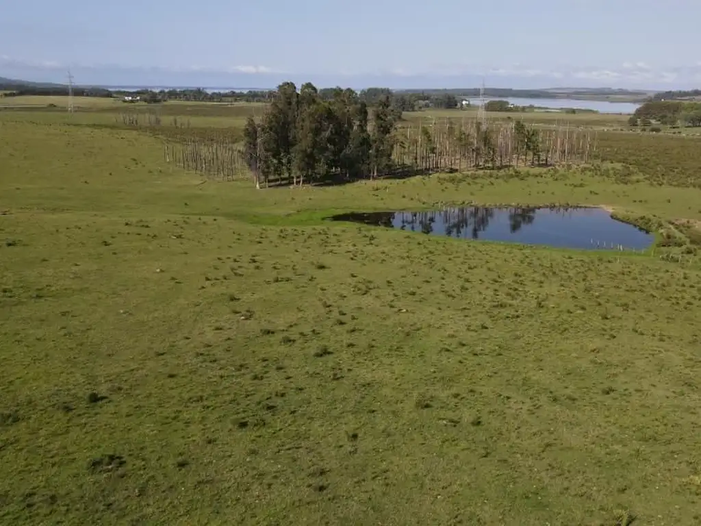 Quinta - Venta - Uruguay, Maldonado