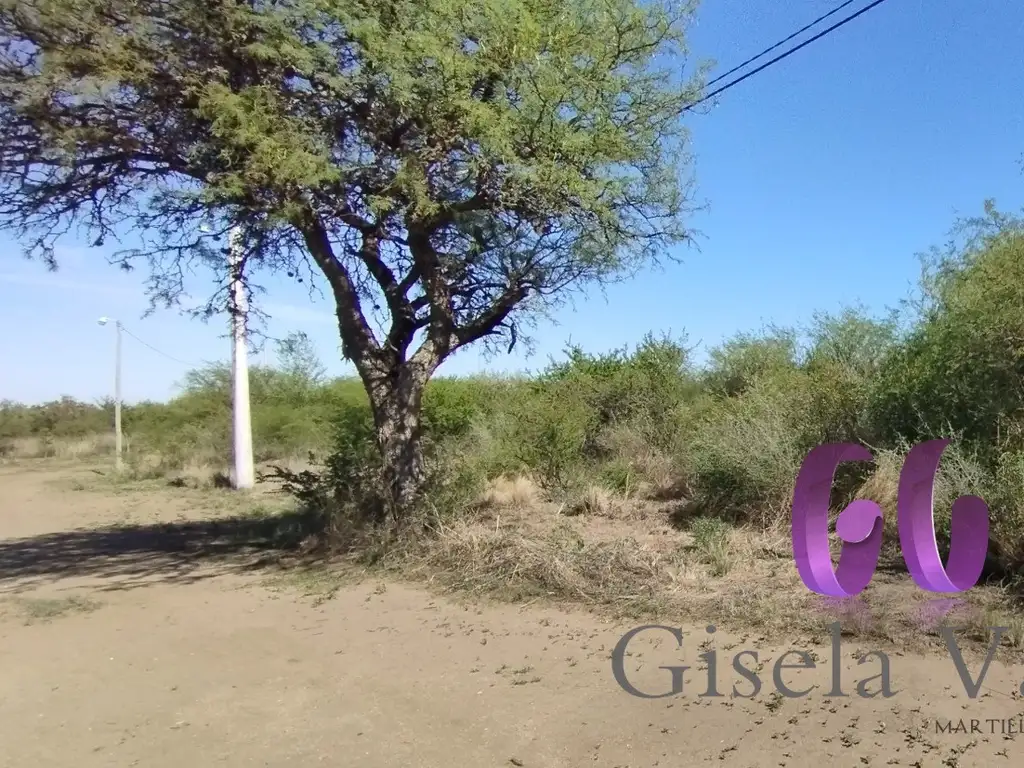 LOTE en CERRO DE ORO – MERLO – SAN LUIS