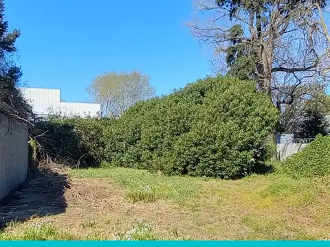 EN VENTA.  Lote de 293m2 sobre Av. Fortunato de la Plaza, Mar del Plata