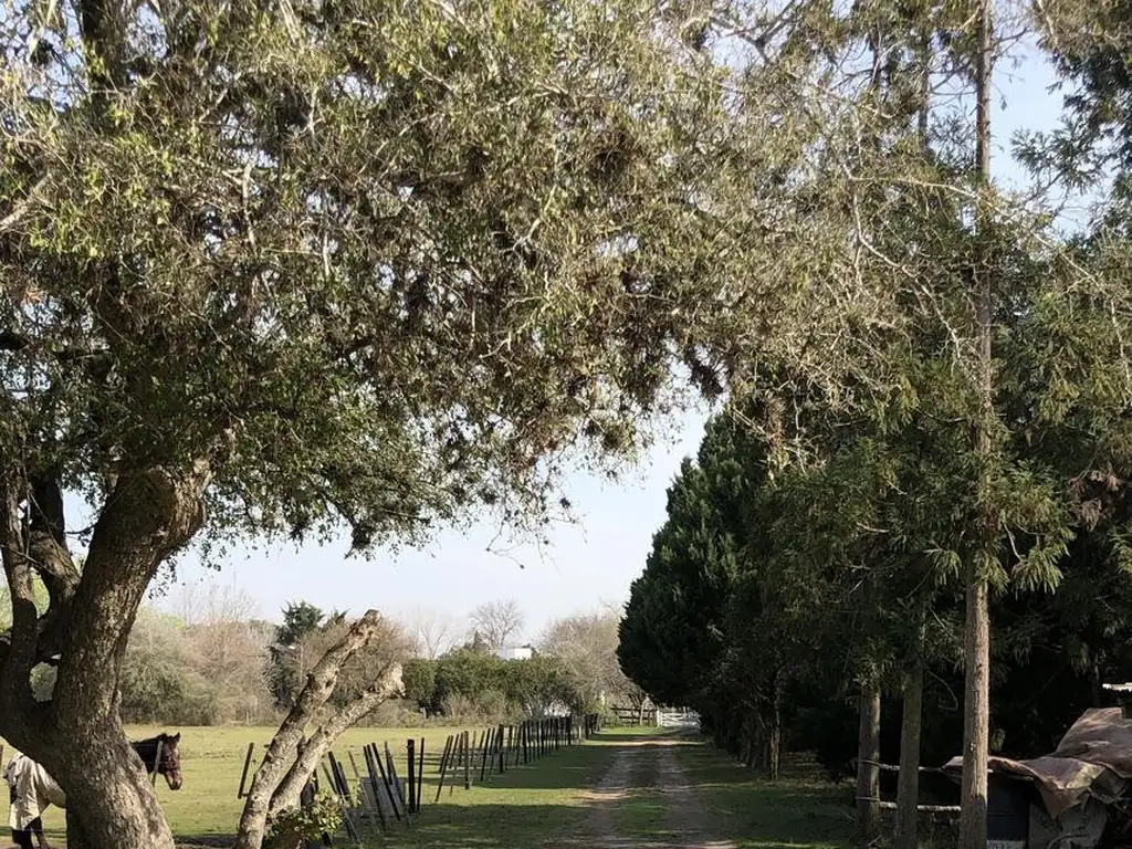 Chacra en Rio Lujan