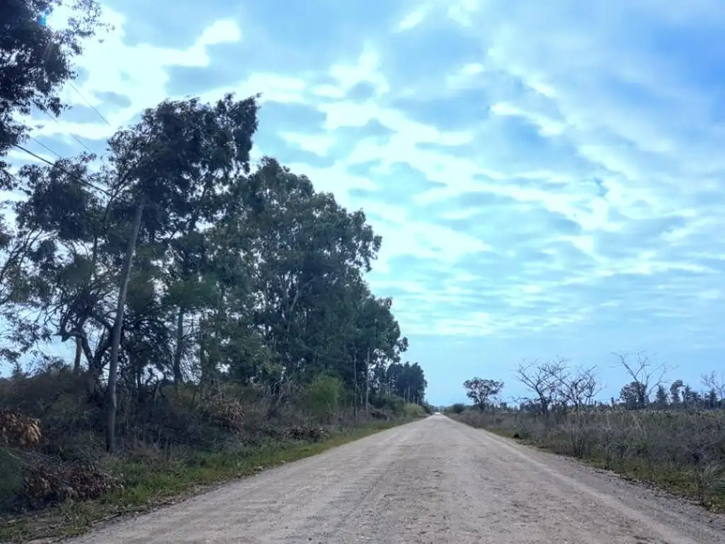 lotes en venta en Magdalena