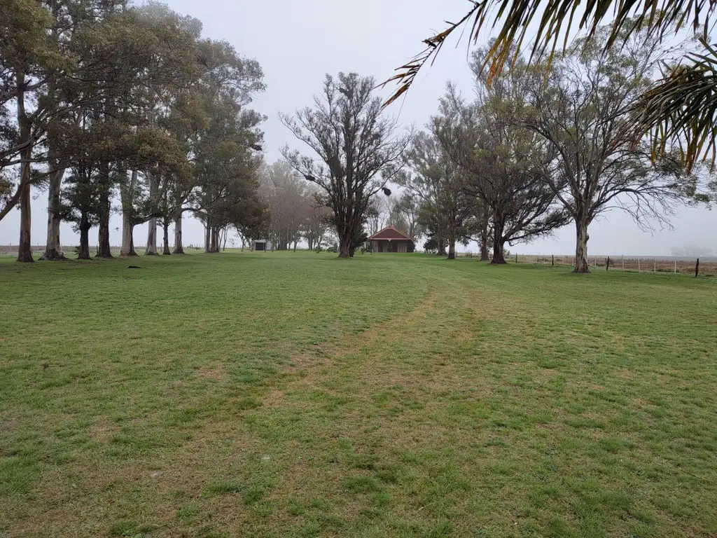 Campo en Colonia El Potrero