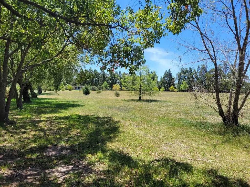 Terreno en  Arturo Segui