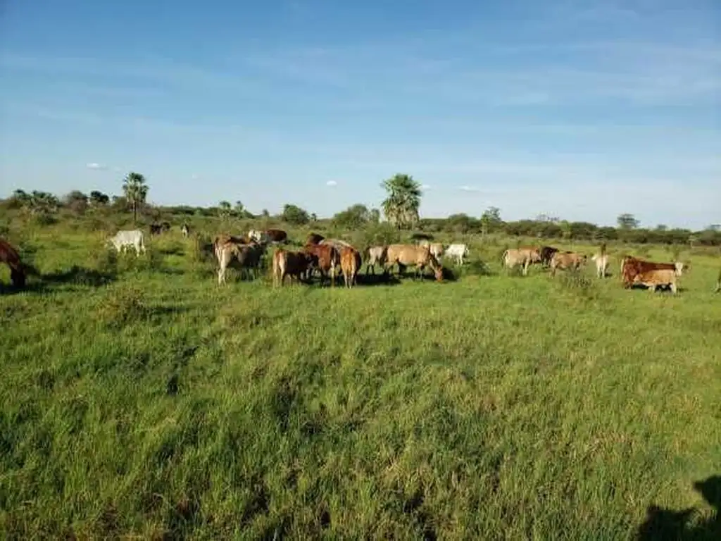 Campo - Venta - Paraguay, Tte. Domingo Martinez de Irala