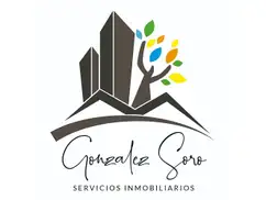 Gonzalez Soro