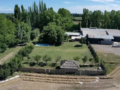 Finca 5,8 hectáreas en Valle de Uco, Mendoza.