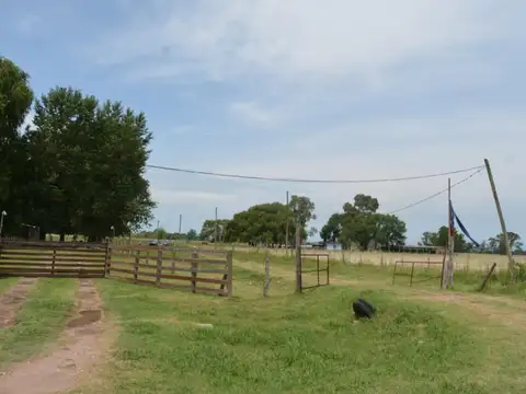 Venta de campo de 2 hectáreas en Guernica