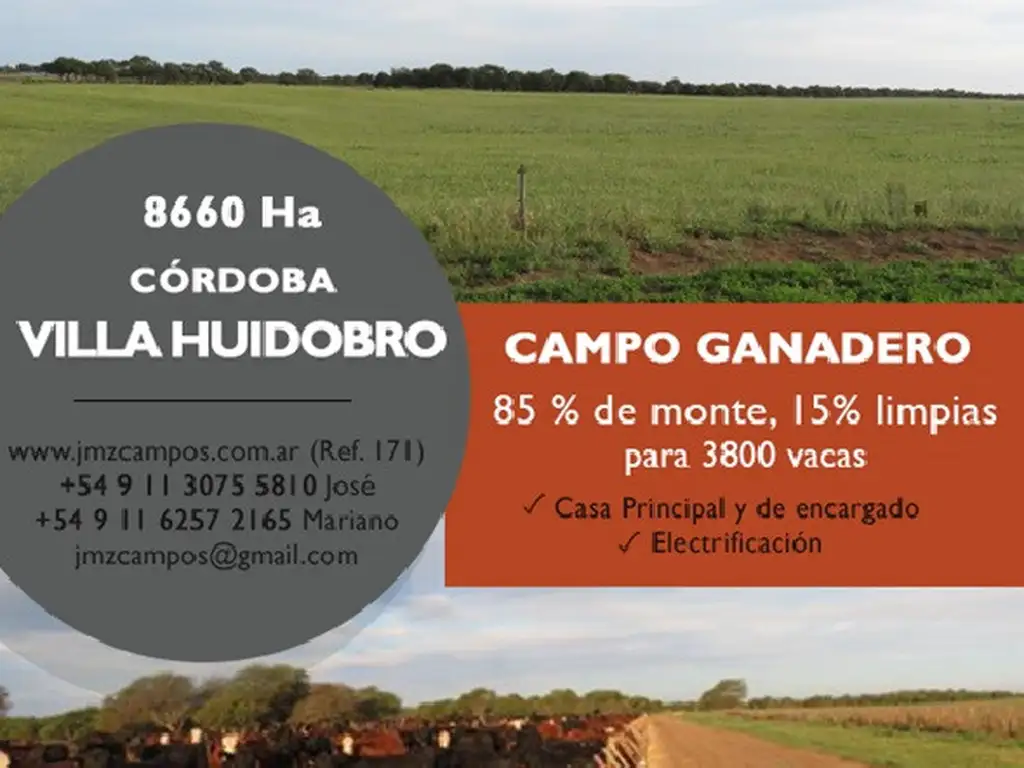 PROPIEDADES RURALES - GANADERA - VILLA HUIDOBRO - CAÑADA VERDE