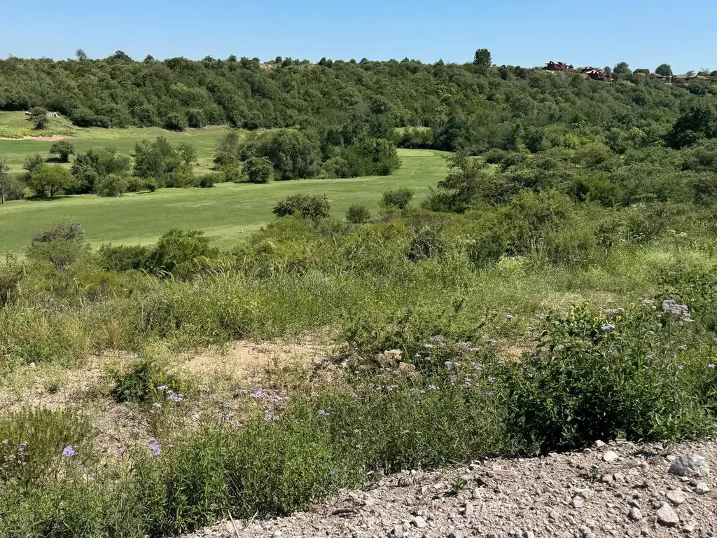 PUEBLO NATIVO LOTES EN VILLA GIARDINO