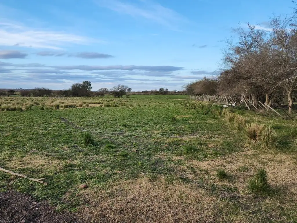 VENTA Campo mixto - Rosario del Tala, Entre Rios