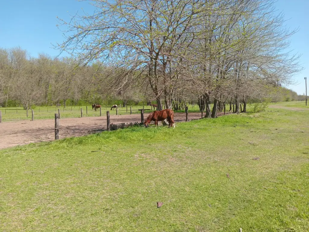 Terreno en Venta en La Ranita, Manzanares