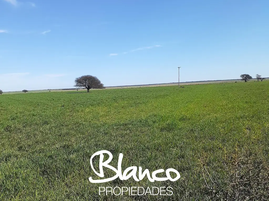 Campo  en Venta en Winifreda, La Pampa