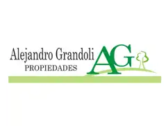 AG PROPIEDADES DE GRANDOLI ALEJANDRO
