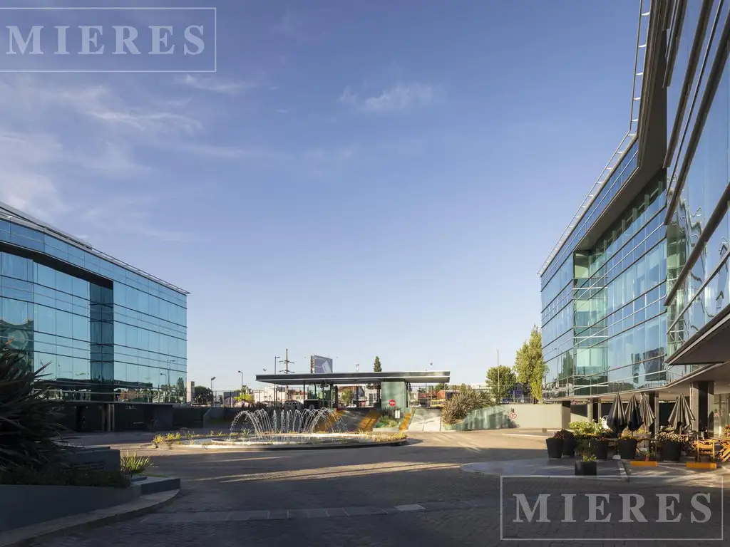 Excelentes oficinas en alquiler de 1.500 m2 - Lumina Thames  - San isidro