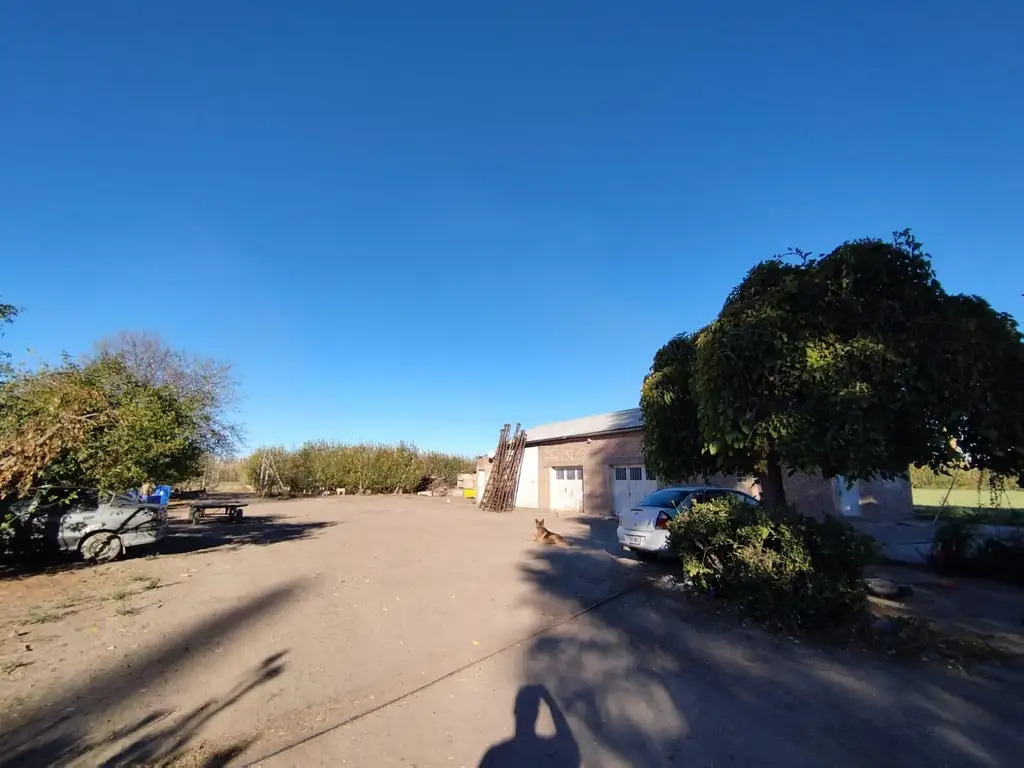 Vende Chacra 6 Hectareas en Allen Con  Galpon y Casa