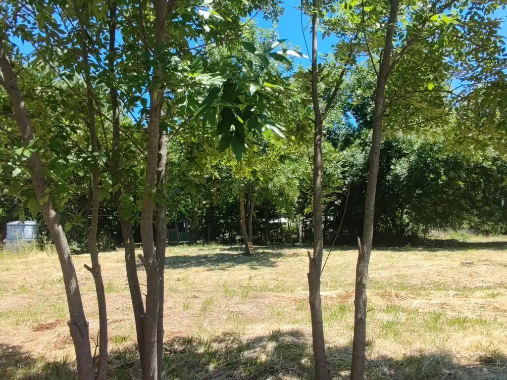 TERRENO ARBOLADO LOMAS ALTAS - CHASCOMUS