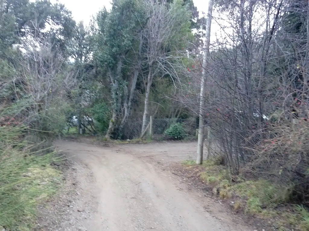 IMPORTANTE LOTE- CIRCUITO CHICO