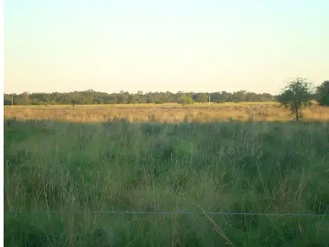 Campo ganadero y parcialmente agricola de 4000 has a pocos k