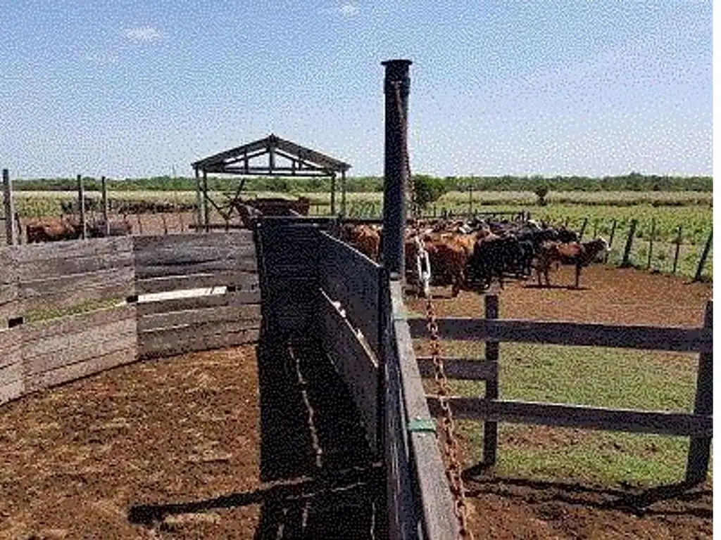 Campo ganadero y parcialmente agricola de 4000 has a pocos k