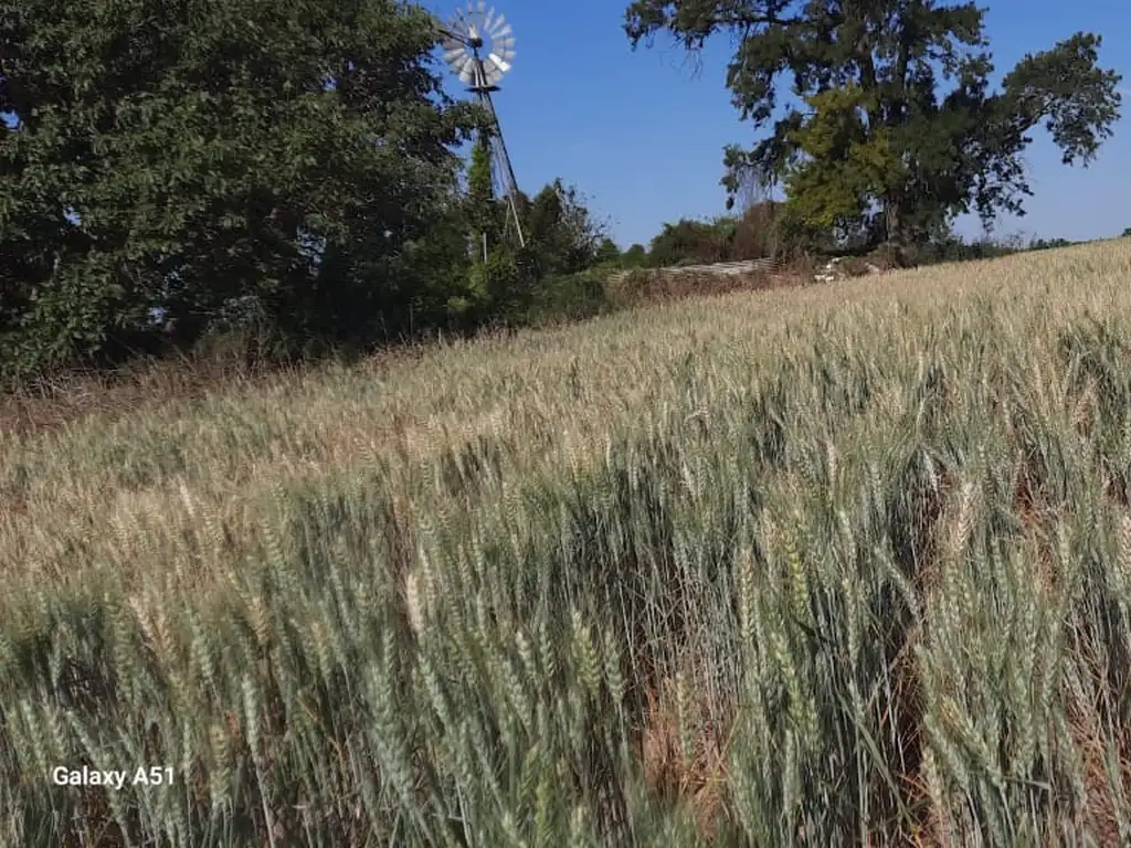 VENDO EXCELENTE 30 HECTAREAS AGRICOLA EN SOLEDAD SANTA FE SOBRE CAMINO DE RIPIO