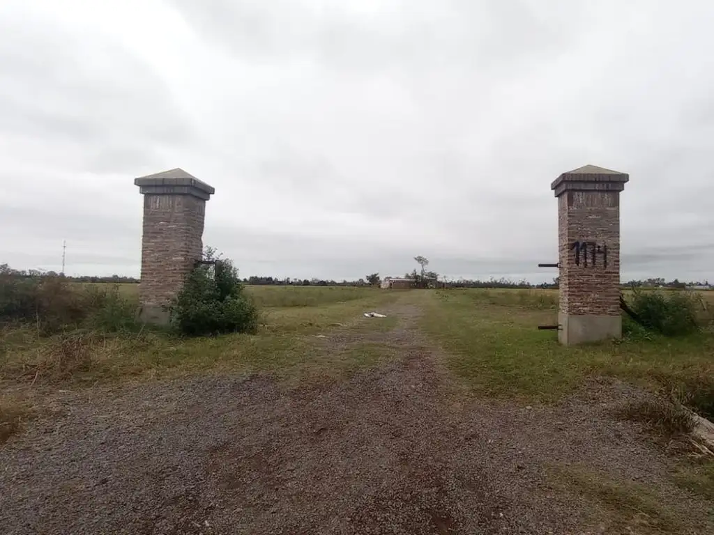 CAMPO DE 41HA EN SAN NICOLÁS DE LOS ARROYOS.