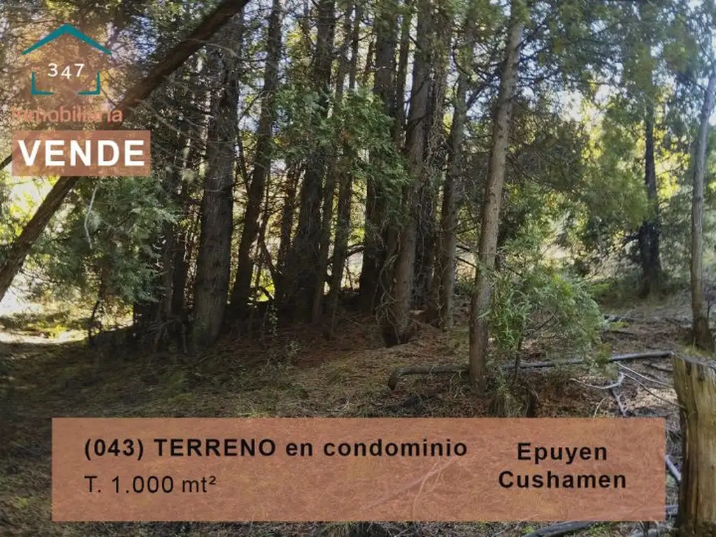 (043) TERRENO en Epuyen en condominio