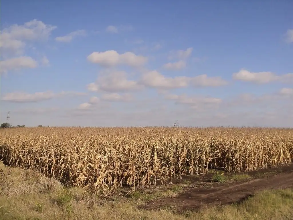 Campo en Venta