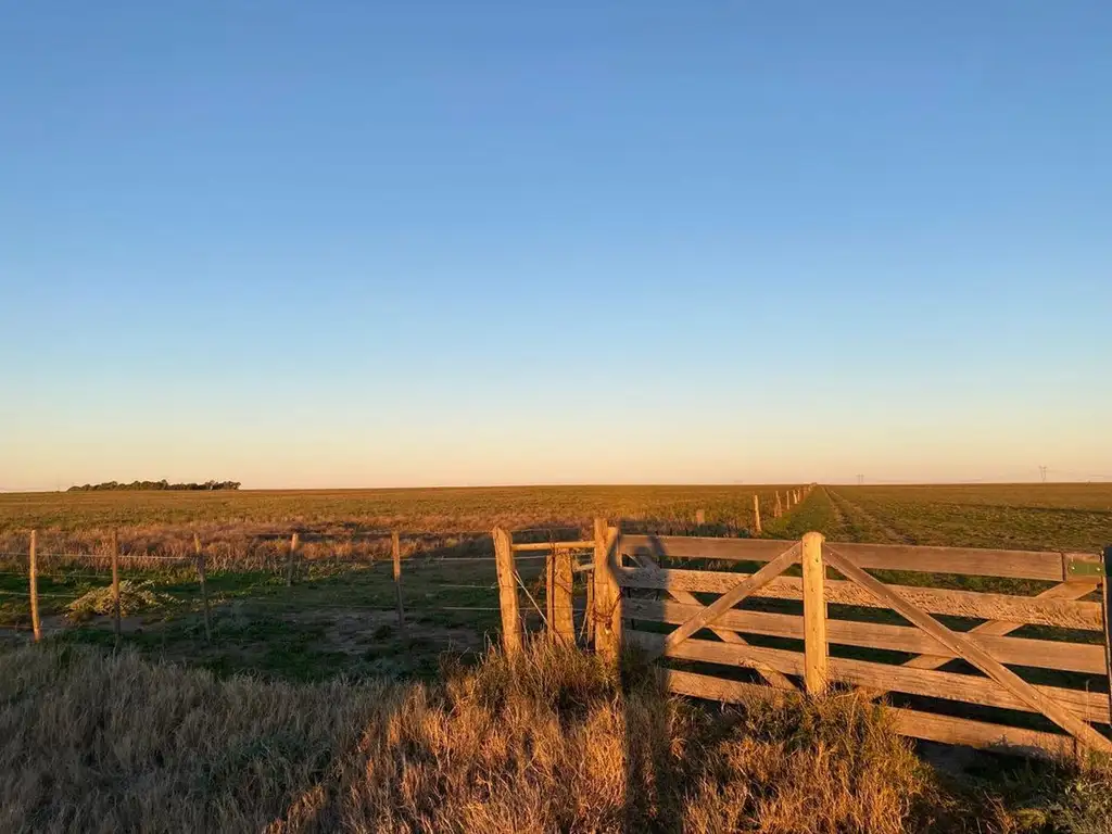 Venta campo zona carrindanga Bahía Blanca