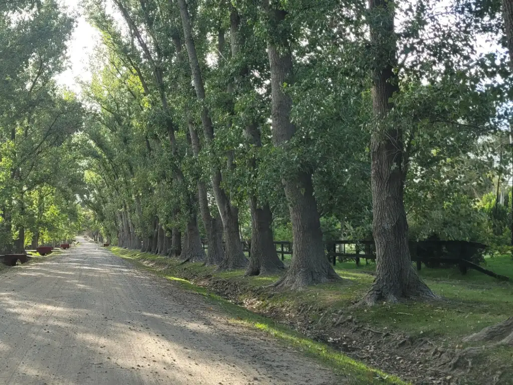 Venta lote Haras El Malacate