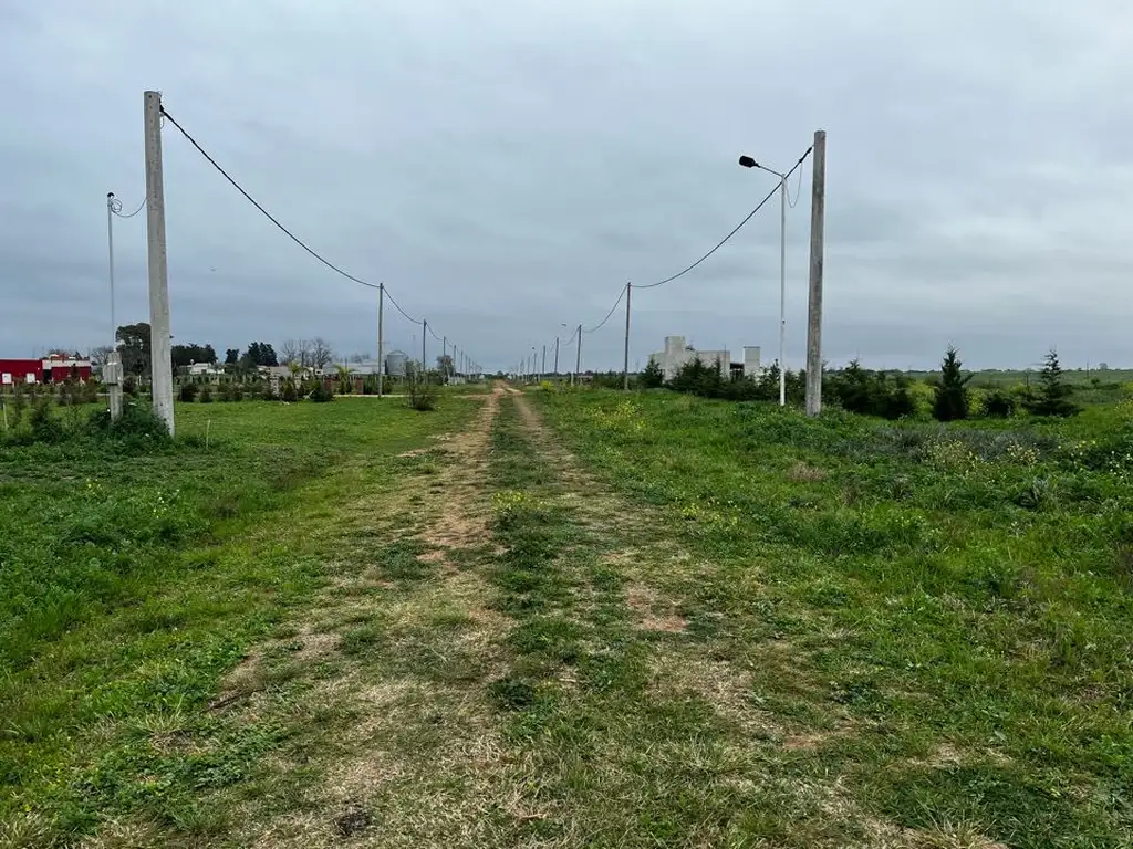 Vendo Lote de 1 Hectárea en San Justo, Entre Ríos.