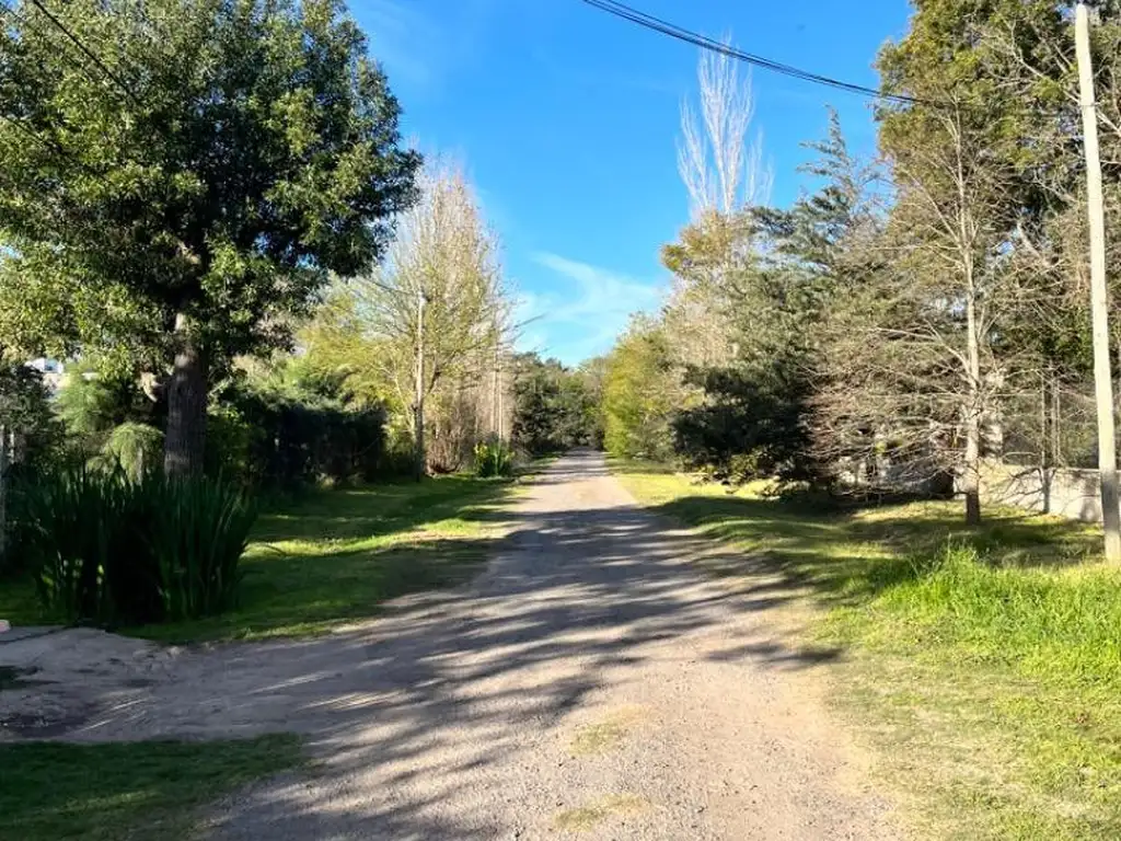 LOTE - EL CAZADOR - ESCOBAR