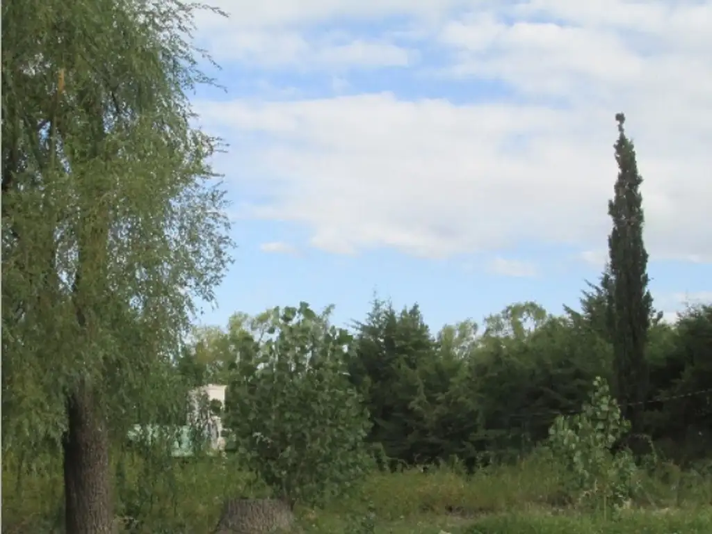 Terreno en Venta Manzano Histórico Valle de Uco