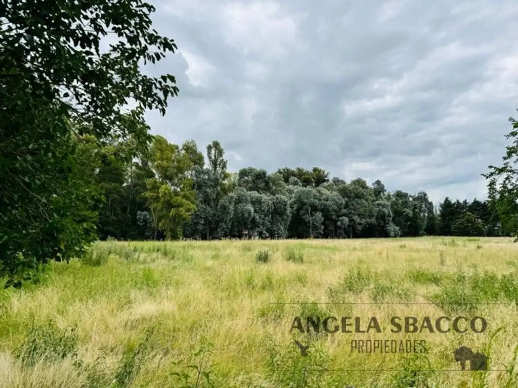 Hermoso Campito de Una Hectárea y media.