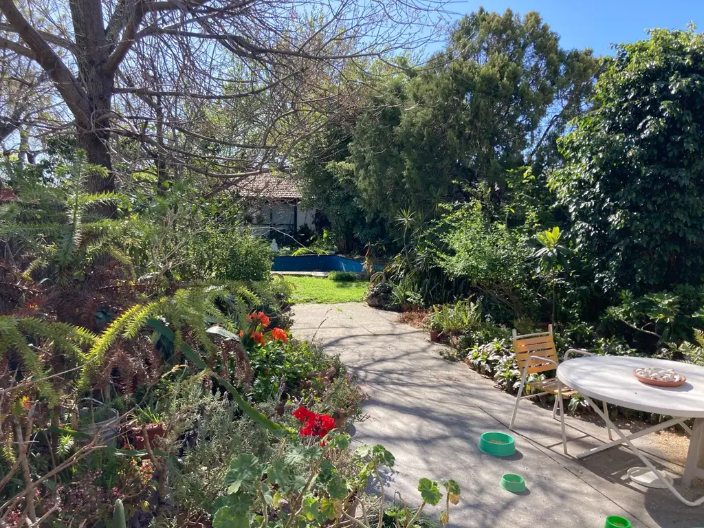 Casa con local para actualizar, buen jardin al norte