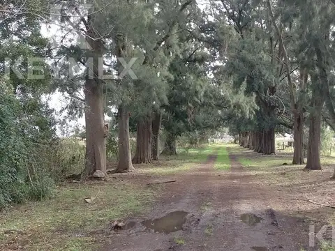 Campo en VENTA en Partido de Magdalena