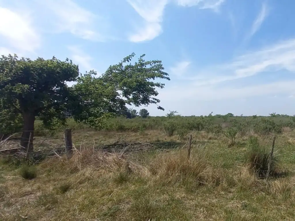 Campo de 5 hectáreas con vivienda