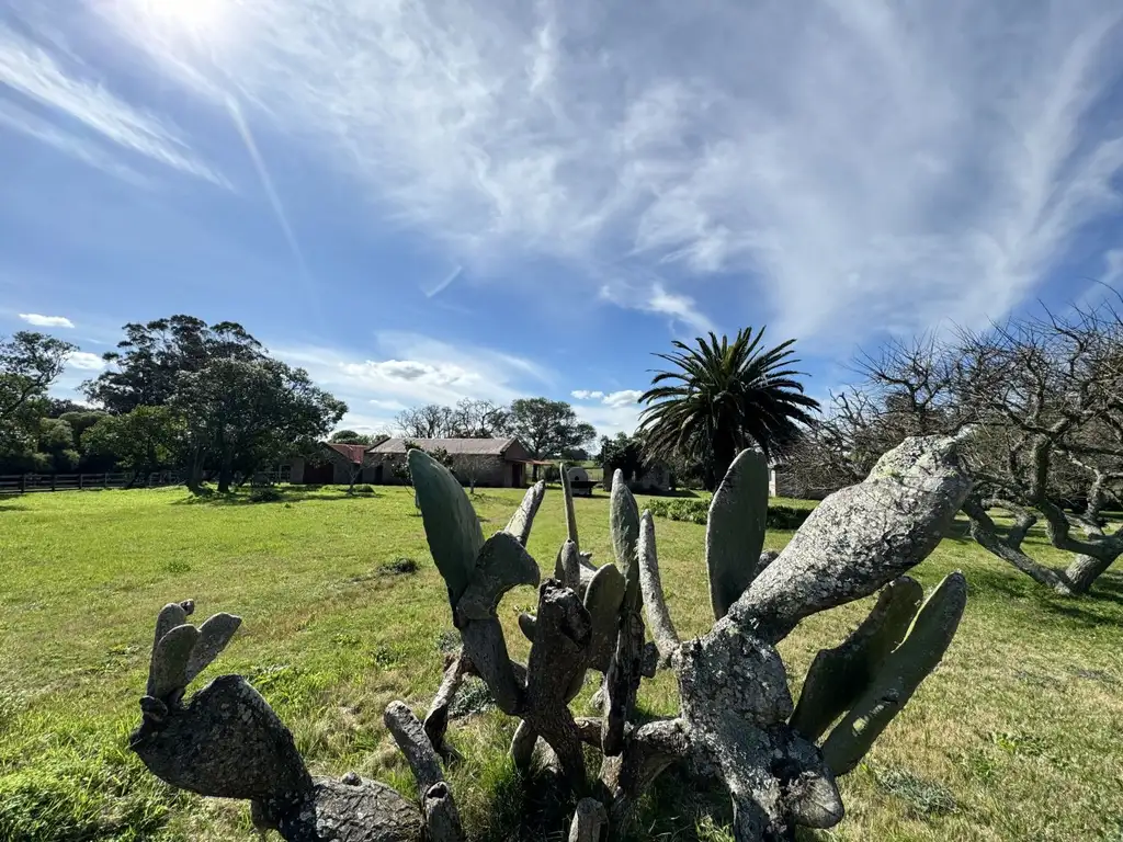 CHACRA EN VENTA EN LA BARRA