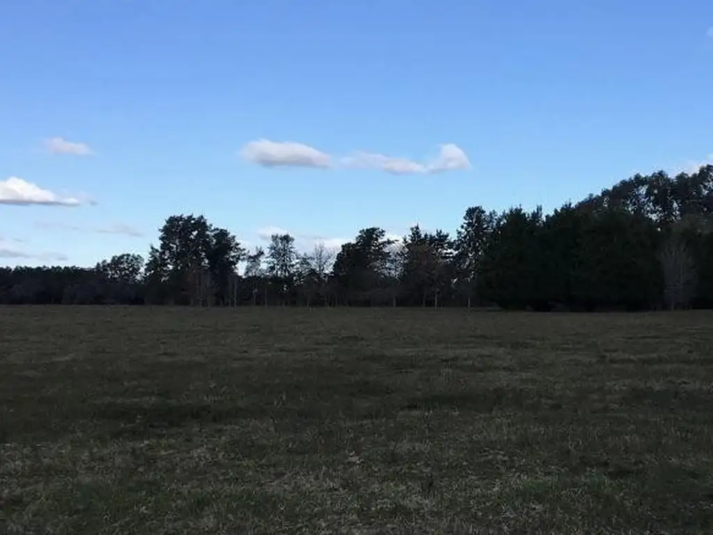 Campo en Los Cardales