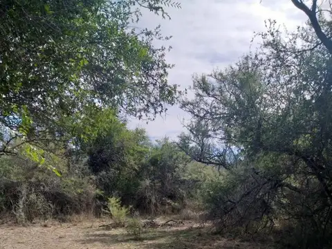 Campo 1 Ha 1,6 km de ruta 5 y 6,7 km entrada Villa de Merlo