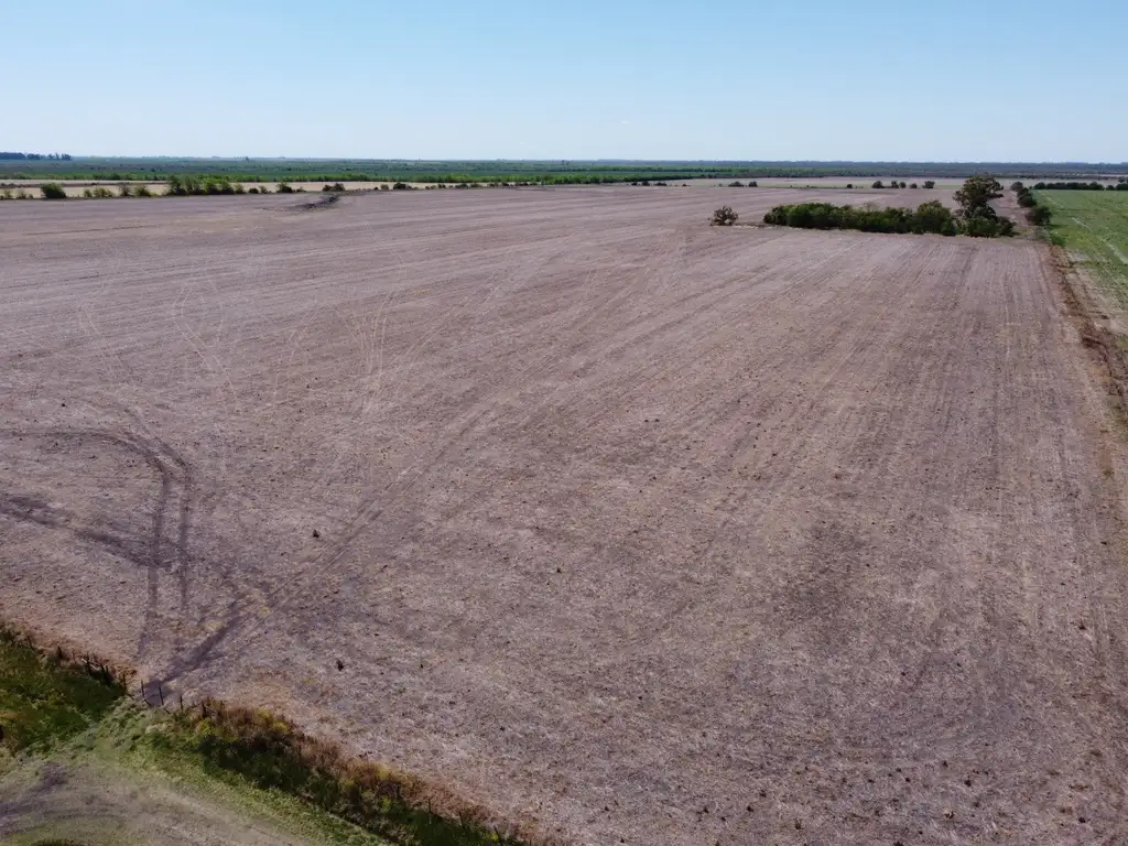 280 has campo agrícola ganadero