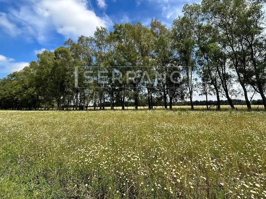 Venta. Lote 1000 m2. Barrio semi cerrado. Praderas de Cardales II. Exaltacion de la Cruz