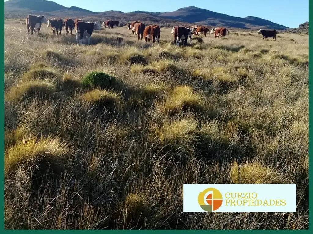 Vendo Campo Minero y Ganadero de 2600ha, Ing. Jacobacci, Pcia. Rio Negro