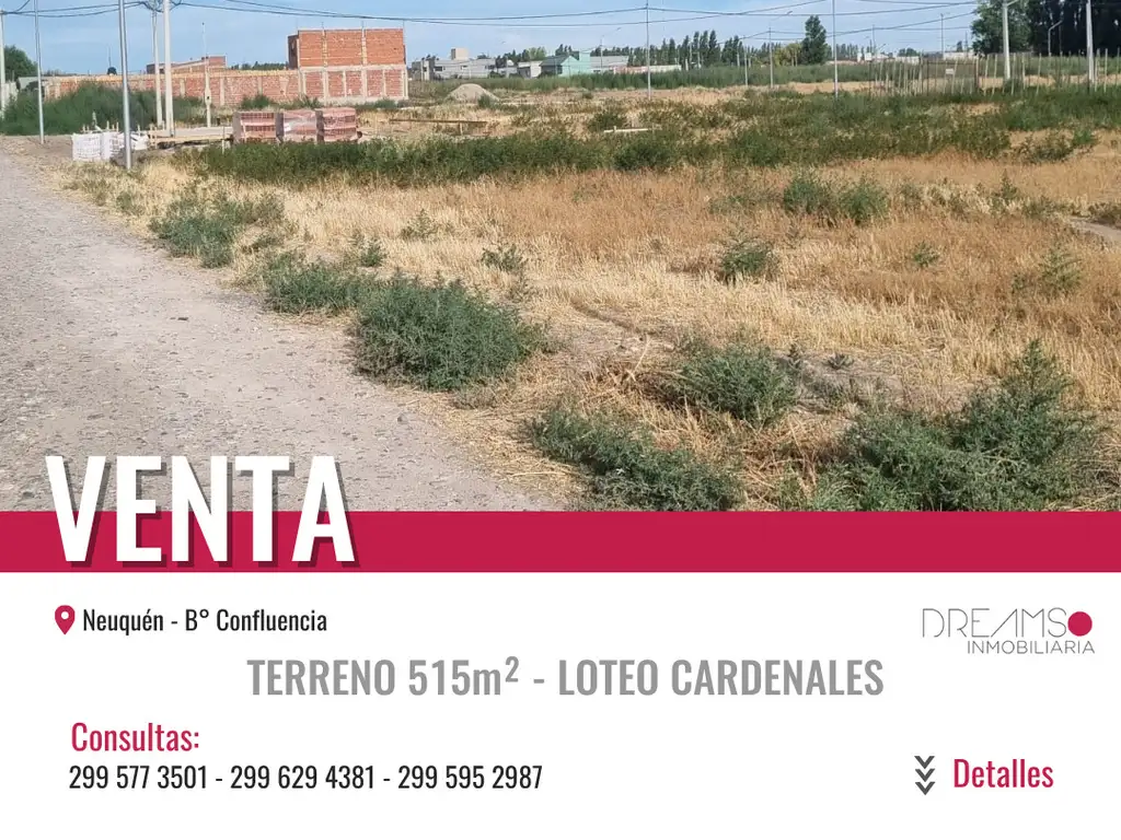 LOTE B° Cardenales -