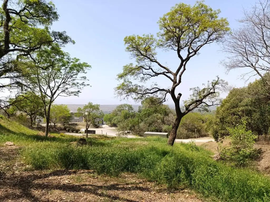 TERRENO LOS ZARZOS, SAN LORENZO