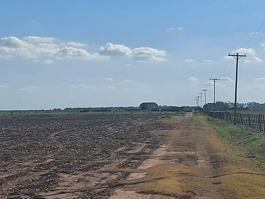 Campo mixto en zona General Viamonte - Cordoba