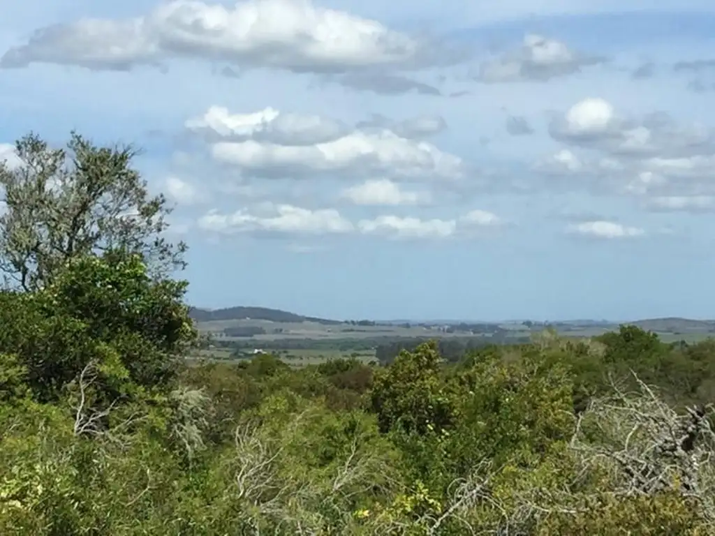 Quinta - Venta - Uruguay, MALDONADO